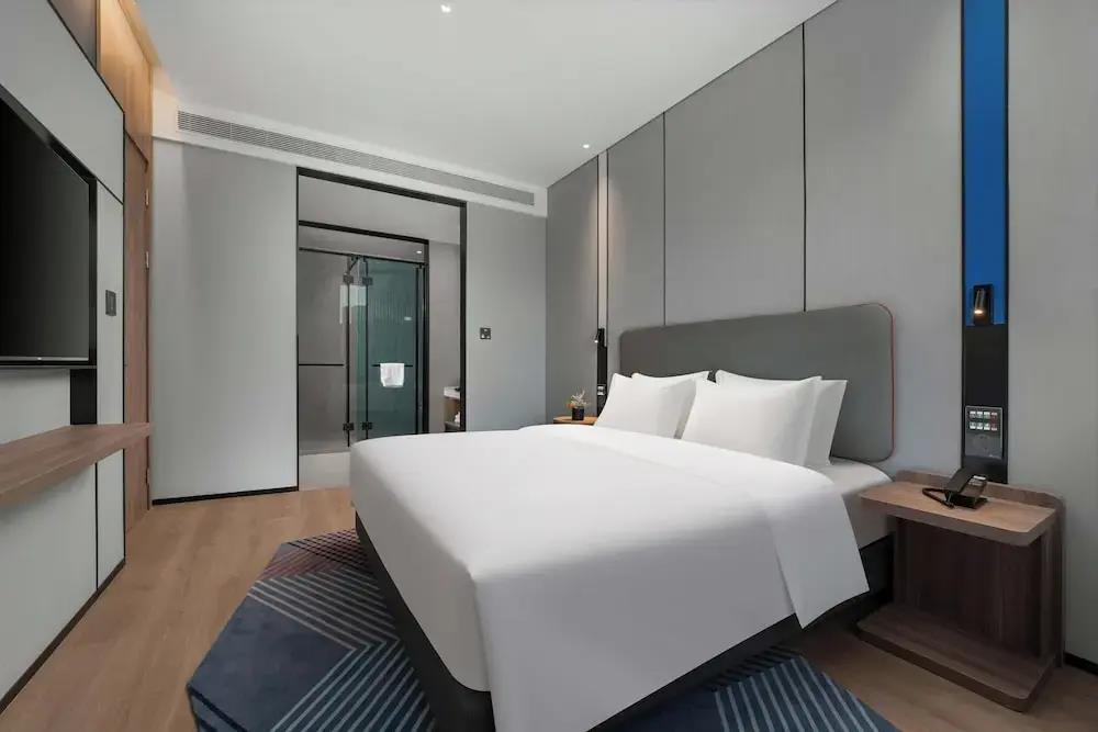 HOLIDAY INN EXPRESS HARBIN CENTRAL AVENUE (哈尔滨中央大街智选假日酒店) - 5