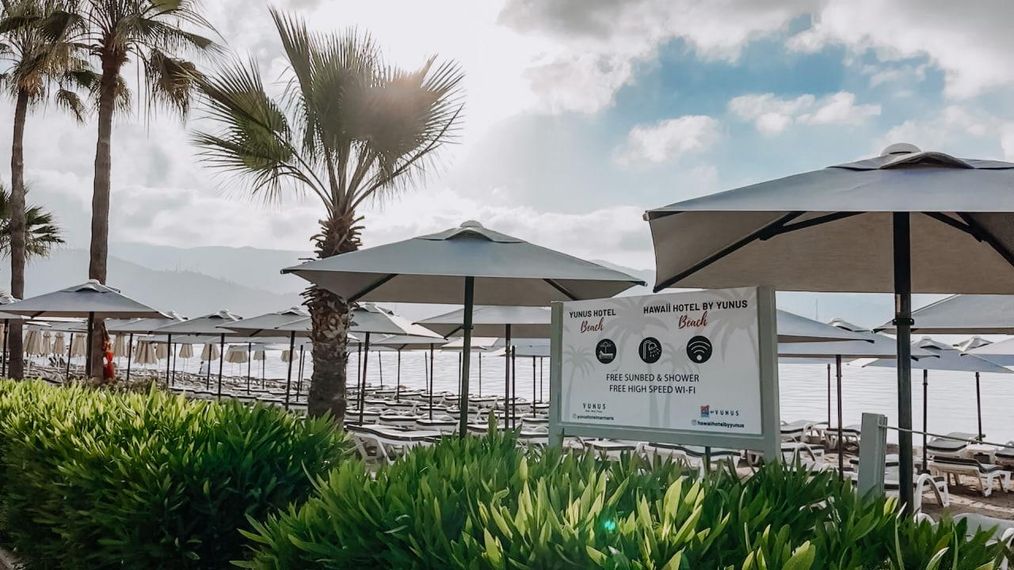 Картинка отеля - 24