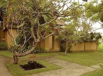 KOMANEKA AT MONKEY FOREST - 1