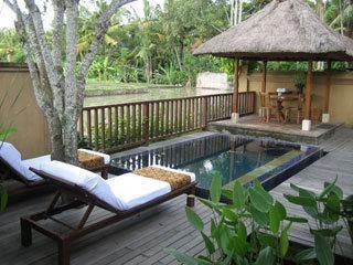 KOMANEKA AT MONKEY FOREST - 2