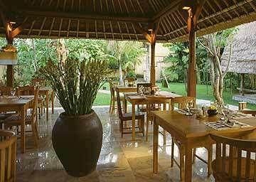 KOMANEKA AT MONKEY FOREST - 5