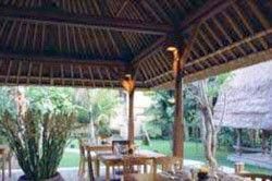 KOMANEKA AT MONKEY FOREST - 6