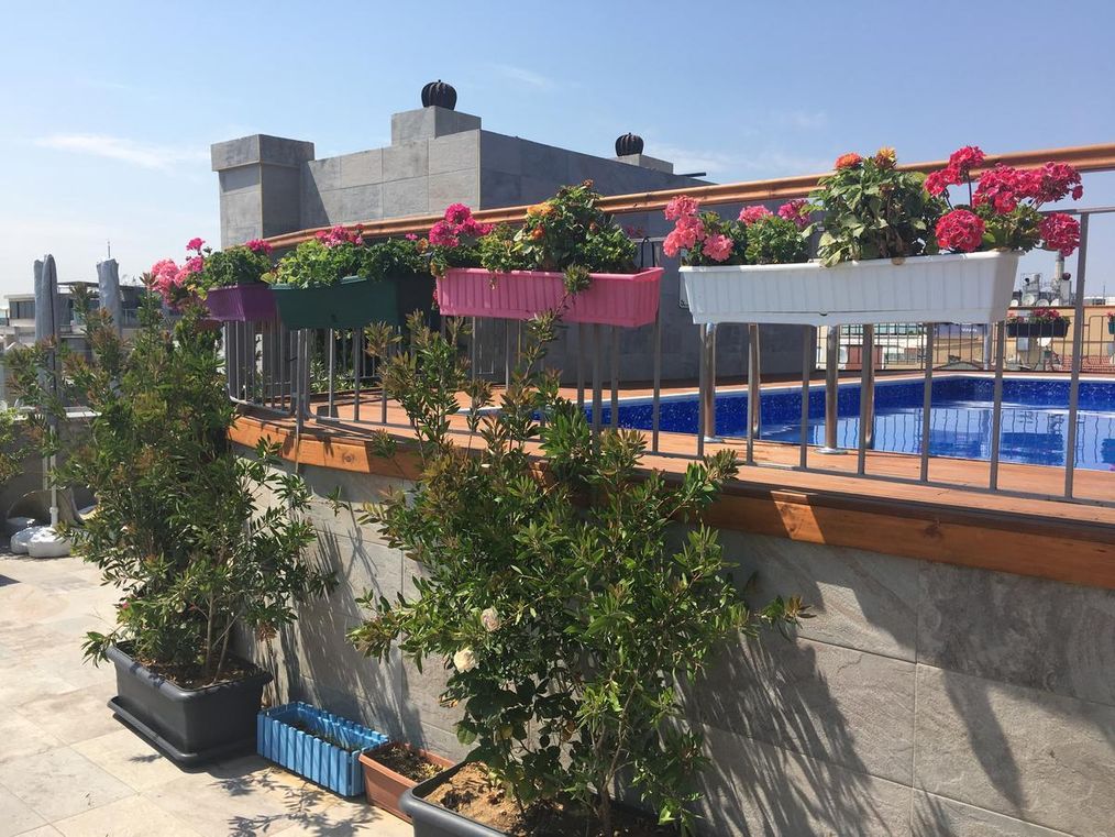 Картинка отеля - 29