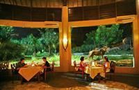 MARA RIVER SAFARI LODGE - 6