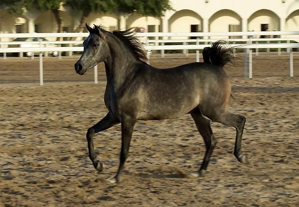 Картинка отеля - 50