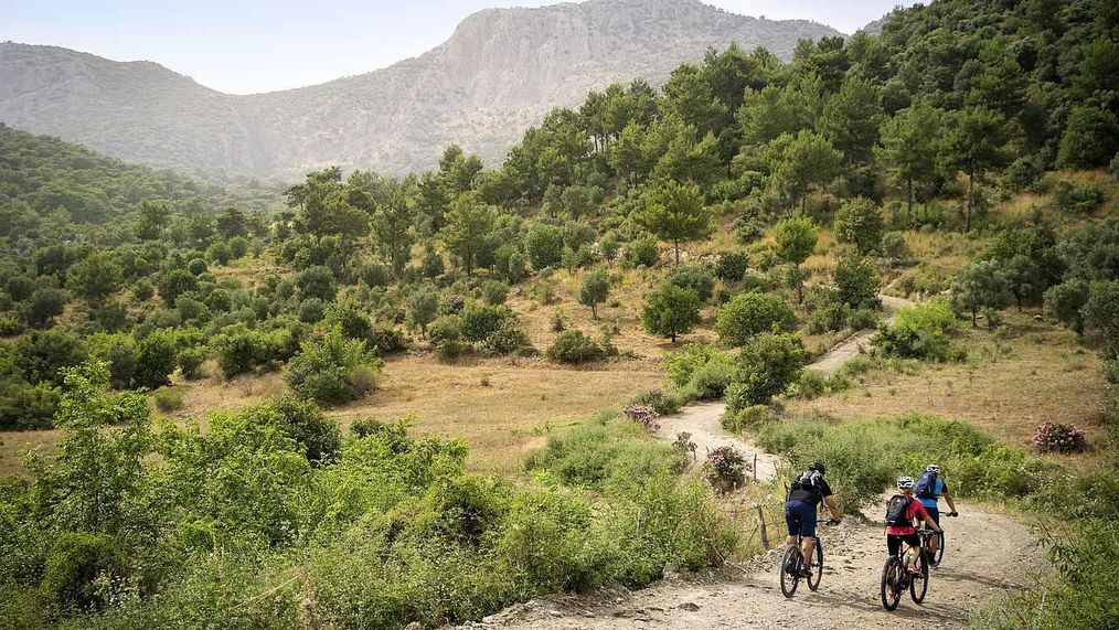 Картинка отеля - 14