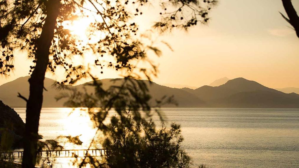 Картинка отеля - 32