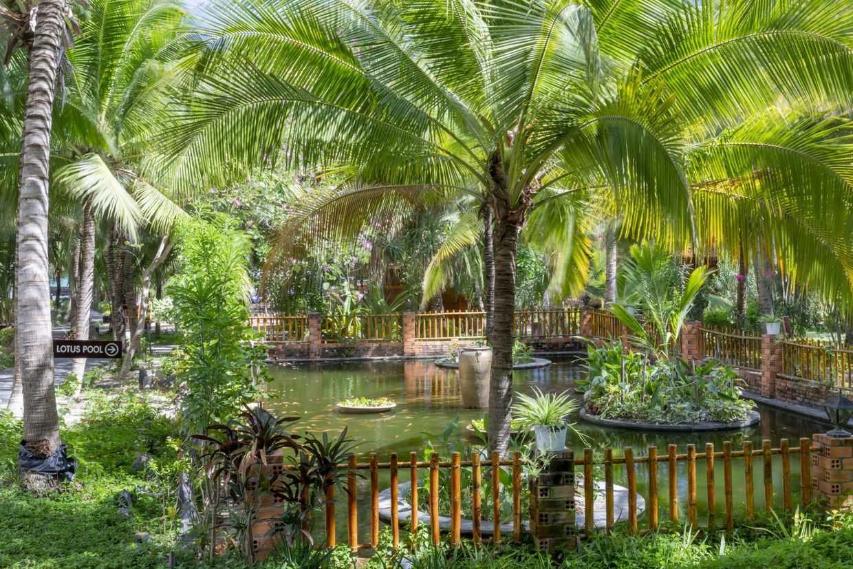 SEALION BEACH RESORT & SPA - 14