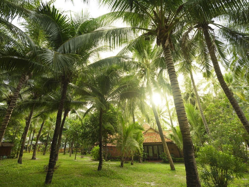 Картинка отеля - 20