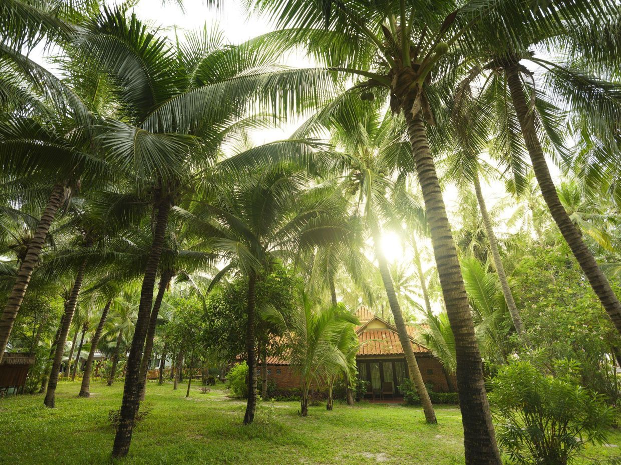 SEALION BEACH RESORT & SPA - 20