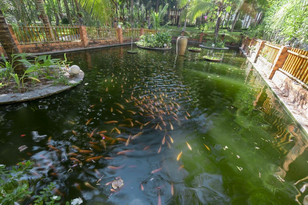 Картинка отеля - 6