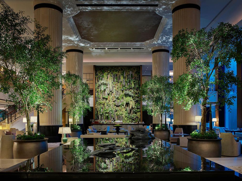 Картинка отеля - 12