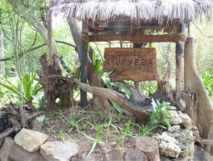 Картинка отеля - 22