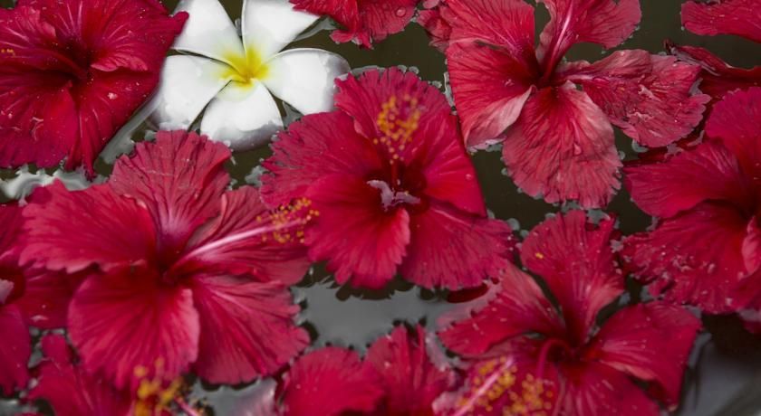 Картинка отеля - 23