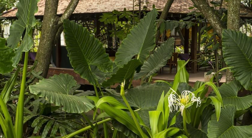 TANGERINE BEACH HOTEL - 32