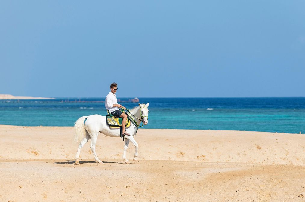 Картинка отеля - 9