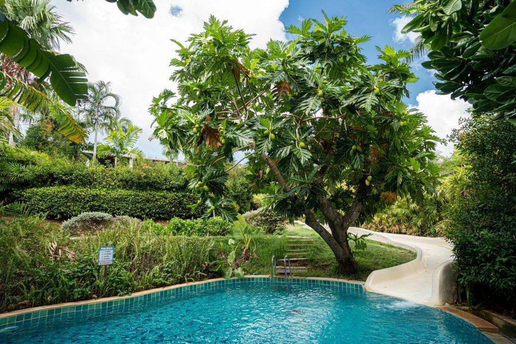 Картинка отеля - 44