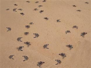 Картинка отеля - 3