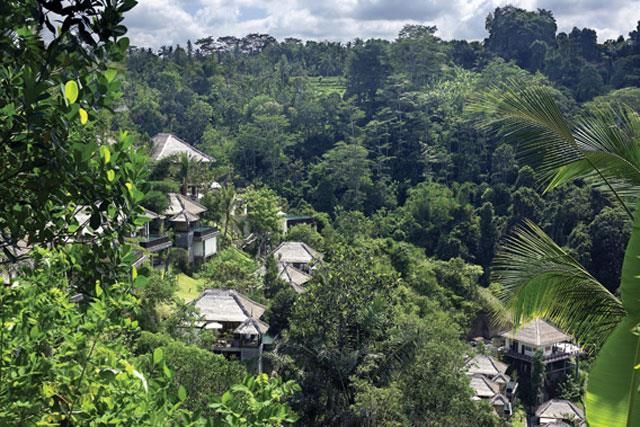 HANGING GARDENS OF BALI - 5