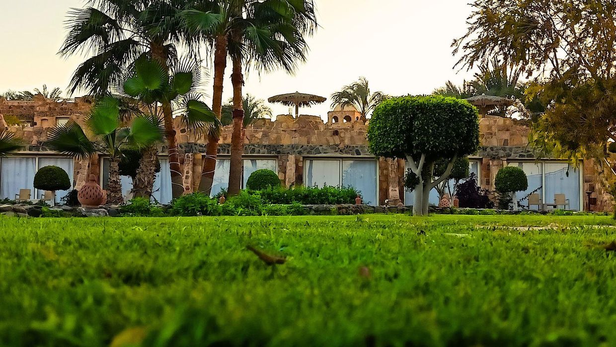 UTOPIA BEACH CLUB MARSA ALAM - 30