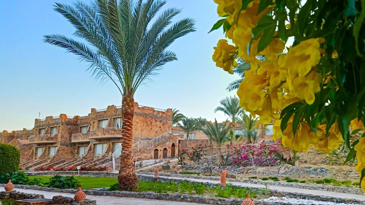 UTOPIA BEACH CLUB MARSA ALAM - 32