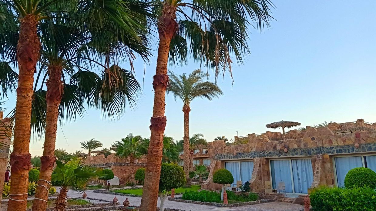 UTOPIA BEACH CLUB MARSA ALAM - 33