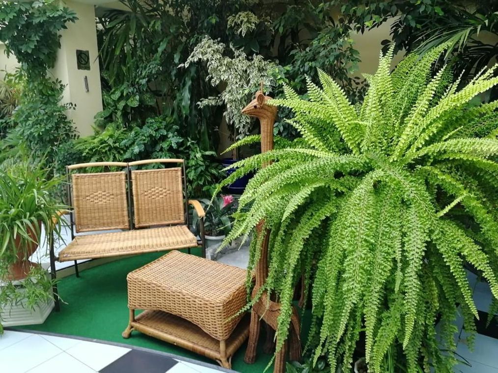 Картинка отеля - 23