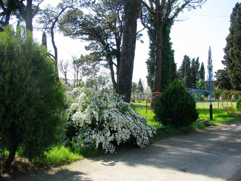 PORTORITSA, отель комфорт - 6