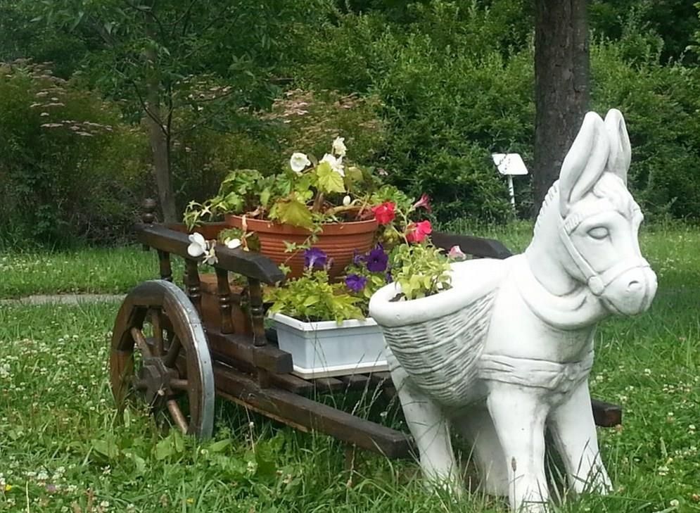 Картинка отеля - 5