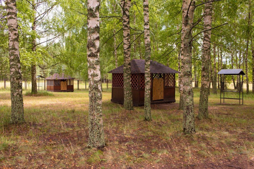 Картинка отеля - 28