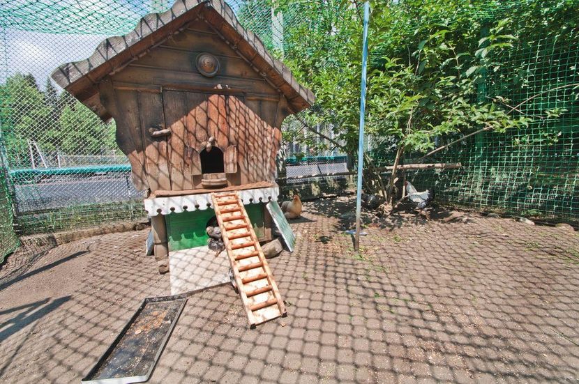 ORCHESTRA CRYSTAL SOCHI RESORT, отель (бывш. КРИСТАЛЛ, пансионат) - 5