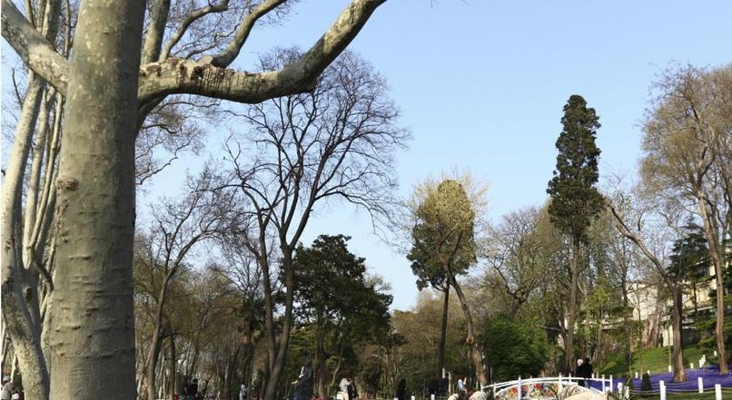 Adora Hotel Istanbul  - 5