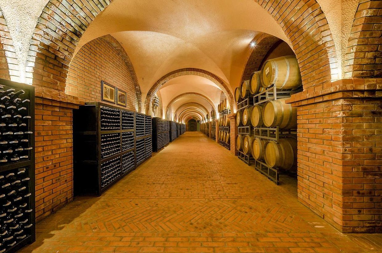 SEA LINKS MUINE - 23