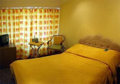 ЭДЕМ (бывш. VGOSTI), мини-отель (Томск) - 5