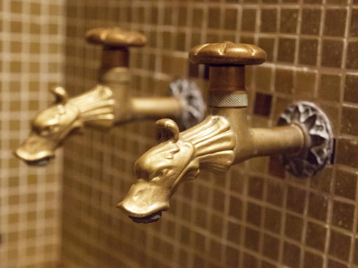 МАКСИМА ИРБИС, отель - 24