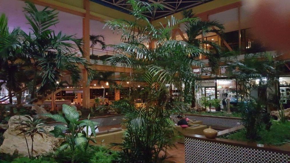 Картинка отеля - 9