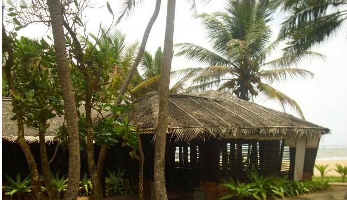 Картинка отеля - 2