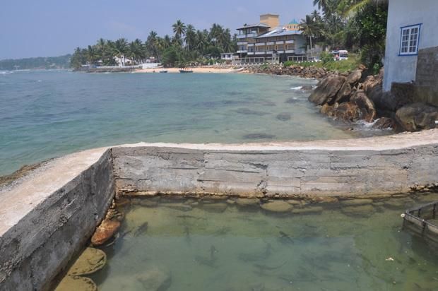 SANMIRA RENAISSANCE - 6