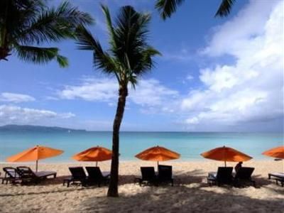 CALYPSO DIVING RESORT - 7