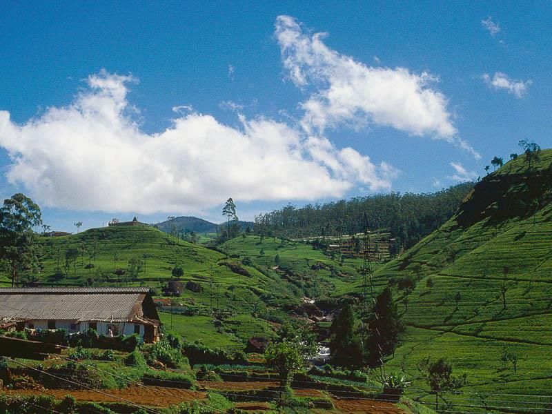 GEM OF SRI LANKA - 2