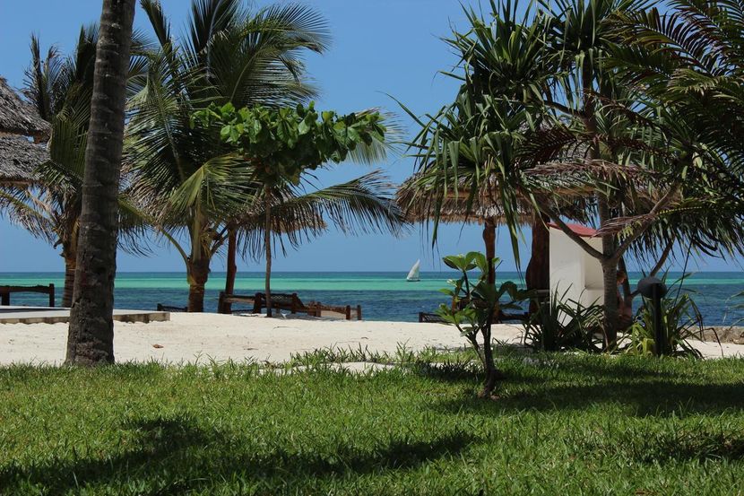 JAZ ADONIA BEACH RESORT - 6
