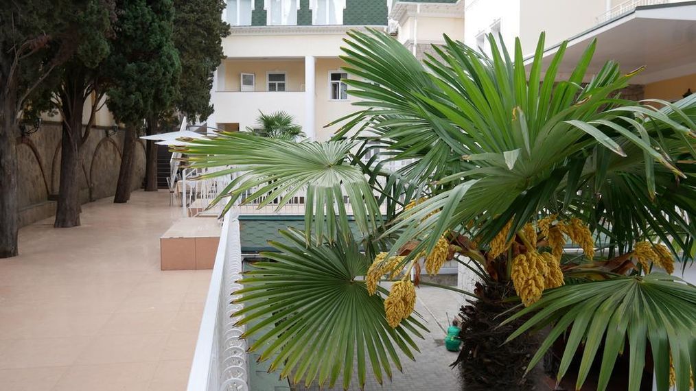 Картинка отеля - 20