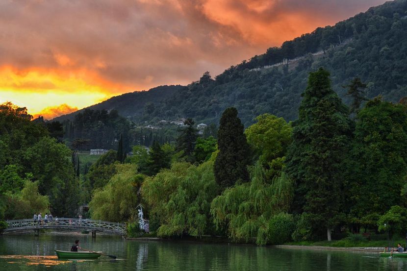 GRIFFON, отель стандарт - 4