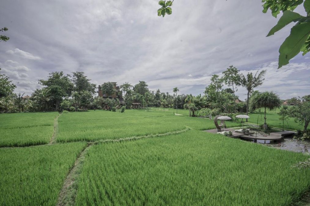 Картинка отеля - 6