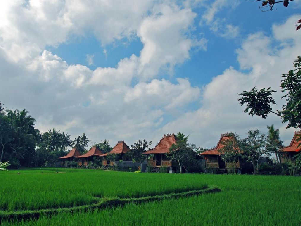 Картинка отеля - 7