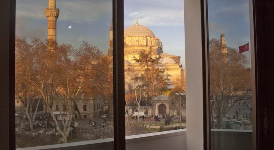 Victory Hotel and Spa Istanbul - 16