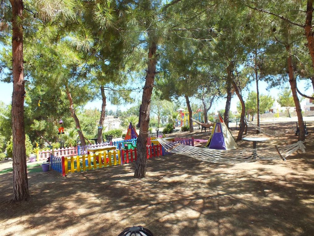 Картинка отеля - 14