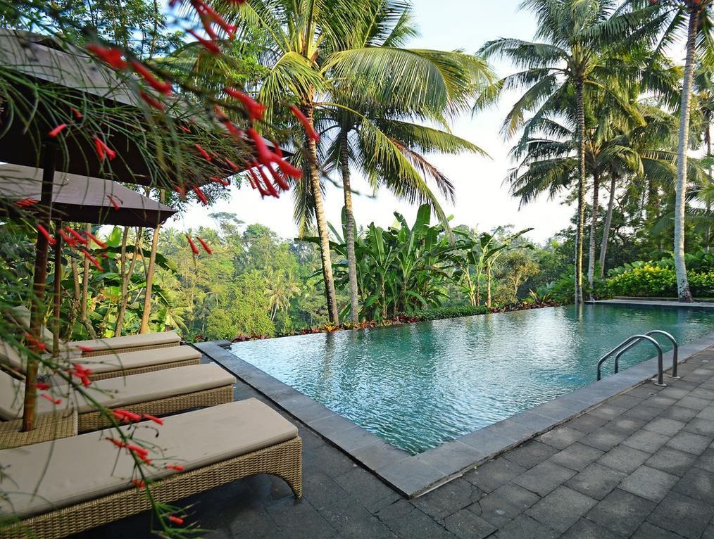 Картинка отеля - 28