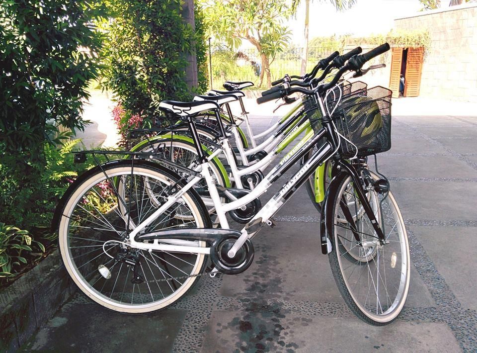 THE LOVINA BALI  - 31