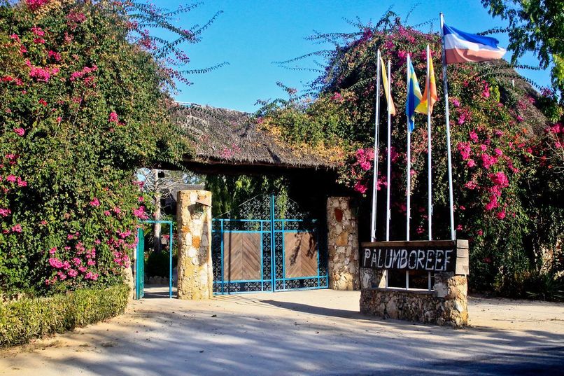 JAZ AMALUNA BEACH RESORT (only adults 16+) - 1